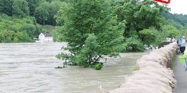 salzach2_rauchenbichler.jpg