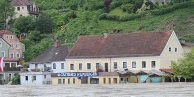 salzach_rauchenbichler.jpg