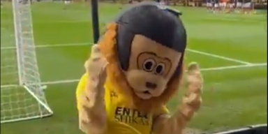 Betrunkenes Fußball-Maskottchen aus Stadion geworfen