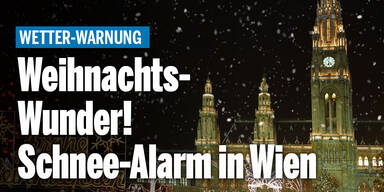 schnee-alarm-wien_wetterAT_relaunch.jpg
