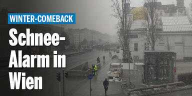 schnee-alarm__oe24_black.jpg