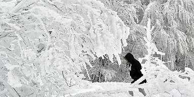 schnee.jpg