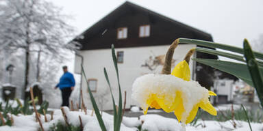 schnee.jpg