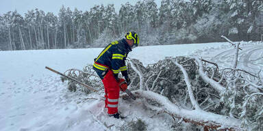 Nach Schnee-Chaos: Weiterhin tausende Haushalte ohne Strom