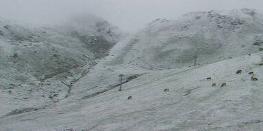 schnee2.jpg