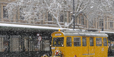 Österreich versinkt im Schnee