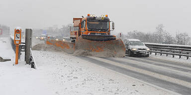schnee26.jpg