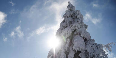 schnee356.jpg