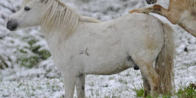 Wintereinbruch in Kühtai