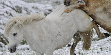 Wintereinbruch in Kühtai
