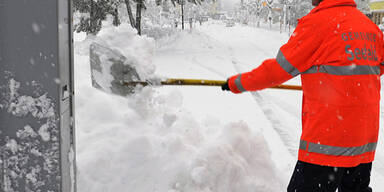 schnee5.jpg