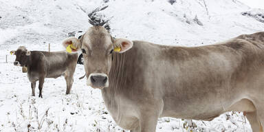 Es schneit in Österreich