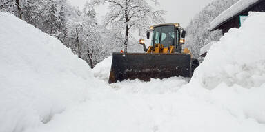 schnee_ap.jpg