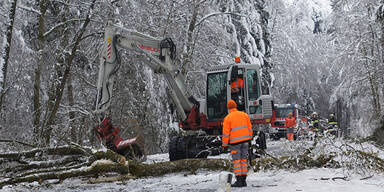 schnee_eis.jpg