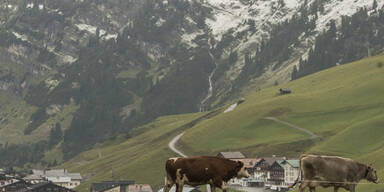 schnee_vorarberg2.jpg