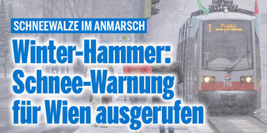 schnee_wien.jpg