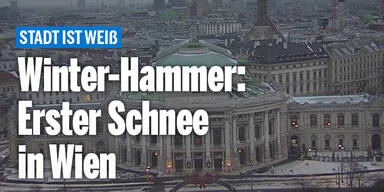 schnee_wien.jpg