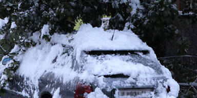 schneechaos4.jpg