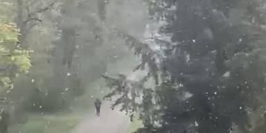 Schneefall in Laxenburg