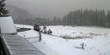 schneeschwarzwald.jpg