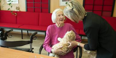 Neue tierische Mitbewohner in Wels’ Seniorenzentren