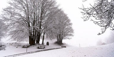 Schnee Winter Schweiz