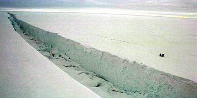 shelf3.jpg