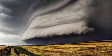 shelfcloud.jpg