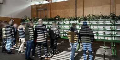 Singvogelausstellung in Bad Goisern.