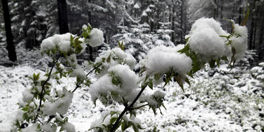 snow054.jpg