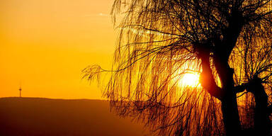 sonne.jpg