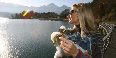 sonne23.jpg