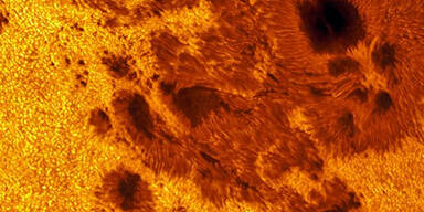 sonne5.jpg