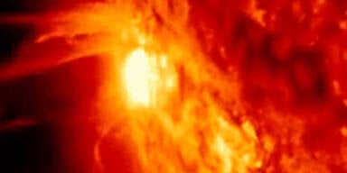 sonne8.jpg