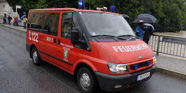 steyr70.jpg