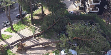 storm-3.jpg