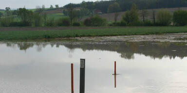 strasse.jpg