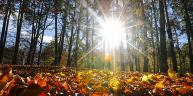 sun68.jpg