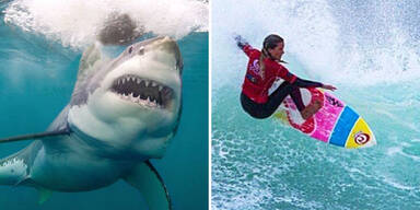 surferin8.jpg