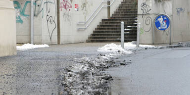 tauwetter_niesner.jpg