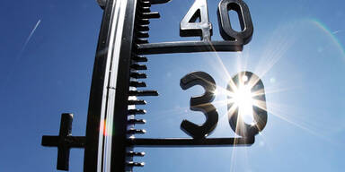 temp62.jpg
