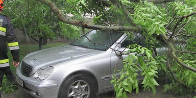 Unwetter in Theresienfeld