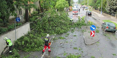 Unwetter in Theresienfeld