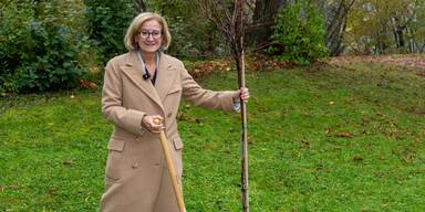 200 Bäume für St. Pöltner Regierungsviertel