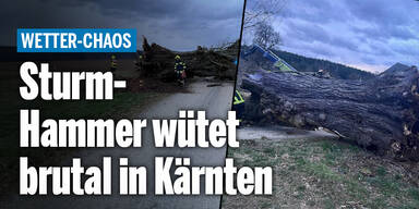 ticker_wetterAT_relaunch---Kopie.jpg