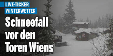 Schneefall im Skigebiet Unterberg