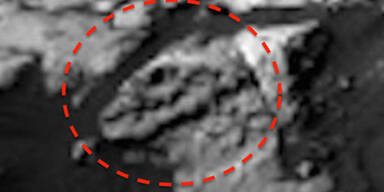 trex3.jpg