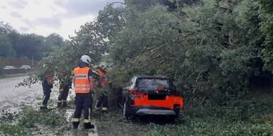 unwetter-neu.jpg