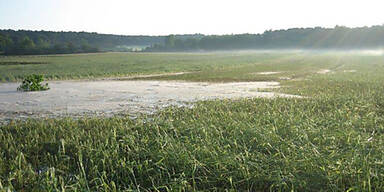 unwetter_matzendorf2.jpg