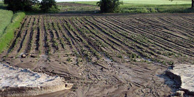 unwetter_matzendorf3.jpg